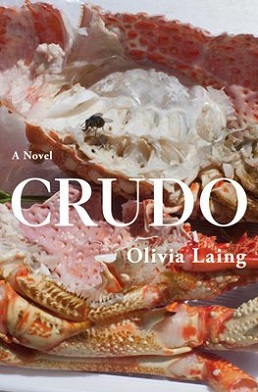 <i>Crudo</i> (novel) 2018 novel by Olivia Laing