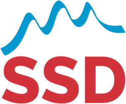 Demokratik sotsialistik chap logo.png