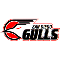<span class="mw-page-title-main">San Diego Gulls (1990–1995)</span> Professional ice hockey team