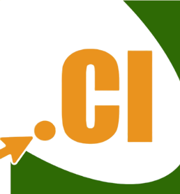 Nic.ci (logo).png