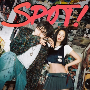 <span class="mw-page-title-main">Spot!</span> 2024 single by Zico featuring Jennie