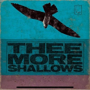 <i>Book of Bad Breaks</i> 2007 studio album by Thee More Shallows
