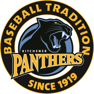 <span class="mw-page-title-main">Kitchener Panthers</span> Minor-league professional baseball team in Kitchener, Ontario