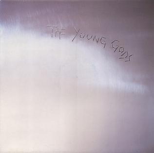 <span class="mw-page-title-main">L'Amourir</span> 1988 single by The Young Gods