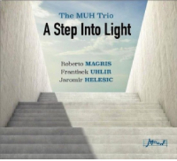 <i>A Step into Light</i> 2020 studio album by MUH Trio