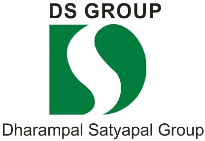 File:DS Group logo.png