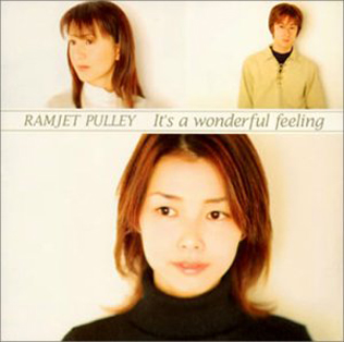 <i>Its a Wonderful Feeling</i> 2003 studio album by Ramjet Pulley
