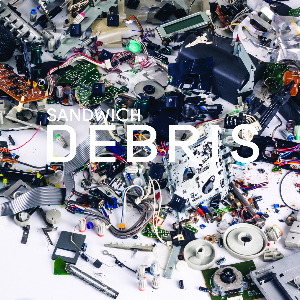 <i>Debris</i> (Sandwich album) 2015 studio album by Sandwich