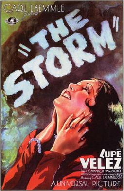 <i>The Storm</i> (1930 film) 1930 film by William Wyler