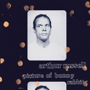 <i>Picture of Bunny Rabbit</i> 2023 compilation album by Arthur Russell