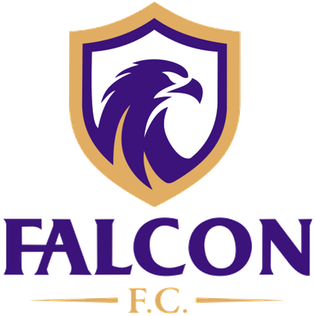 <span class="mw-page-title-main">Falcon Futebol Clube</span> Football club