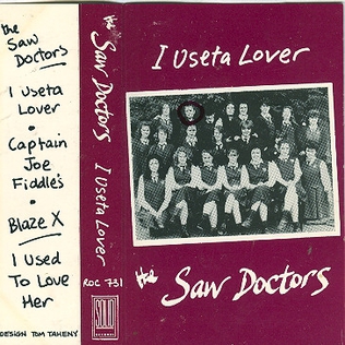 <span class="mw-page-title-main">I Useta Lover</span> 1990 single by The Saw Doctors