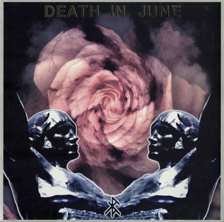 <i>Rose Clouds of Holocaust</i> 1995 studio album by Death In June