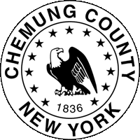 File:Chemungcountyseal.png