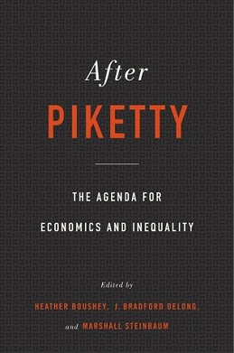 <i>After Piketty</i> 2017 collection of economic essays edited by Boushey, DeLong, and Steinbaum