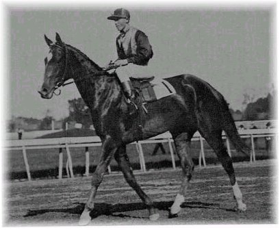 File:Beldame the horse (Frank O'Neill riding).jpg
