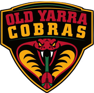 <span class="mw-page-title-main">Old Yarra Cobras Football Club</span> Australian rules football club