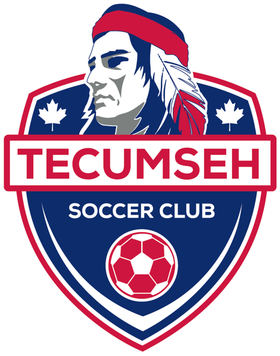 <span class="mw-page-title-main">Tecumseh SC</span> Soccer club in Tecumseh, Ontario