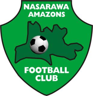 <span class="mw-page-title-main">Nasarawa Amazons F.C.</span> Football club