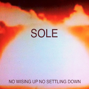 <i>No Wising Up No Settling Down</i> 2013 studio album by Sole