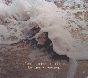 <i>Our Lives on Wednesdays</i> 2004 studio album by Im Not a Gun