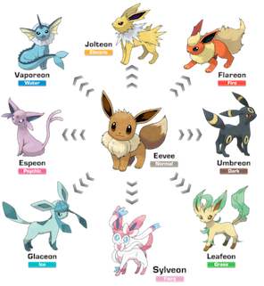 Scatterbug Pokemon Evolution Chart