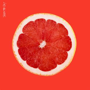 <i>Saves the Day</i> (album) 2013 studio album by Saves the Day