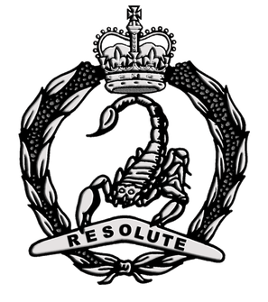 <span class="mw-page-title-main">3rd/4th Cavalry Regiment (Australia)</span> Regiment of the Australian Army
