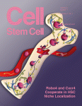 Cell Stem Cell (journal - front cover).gif