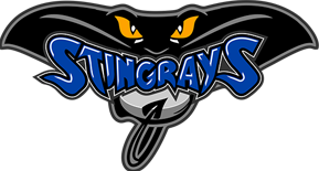 Hull Stingrays ice hockey club from Kingston upon Hull, England