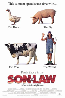 File:Soninlawcover.jpg