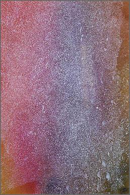 File:'Canticle', casein on paper by Mark Tobey, 1954.jpg