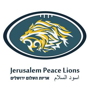 <span class="mw-page-title-main">Jerusalem Peace Lions Football Club</span>