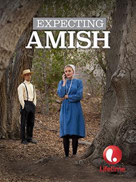 <i>Expecting Amish</i> 2014 American TV series or program