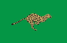 File:Flag of the All Tripura Tiger Force.png