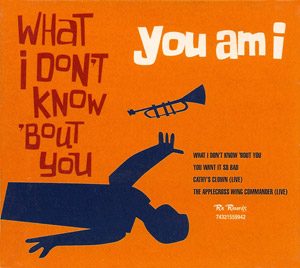 <span class="mw-page-title-main">What I Don't Know 'bout You</span> 1998 single by You Am I