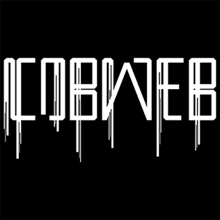 <span class="mw-page-title-main">Cobweb (band)</span> Nepals first heavy metal band