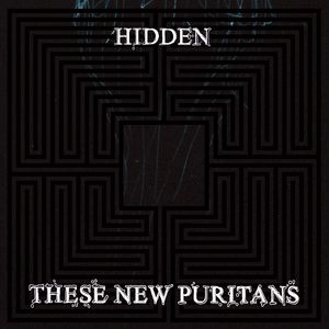 <i>Hidden</i> (These New Puritans album) 2010 studio album by These New Puritans