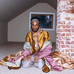 Jpegmafia_AMHAC_1.jpg