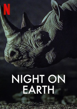 Night on Earth (TV series)