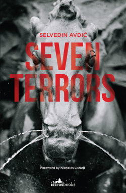 <i>Seven Terrors</i> 2010 book by Selvedin Avdić