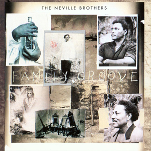 <i>Family Groove</i> 1992 studio album by The Neville Brothers