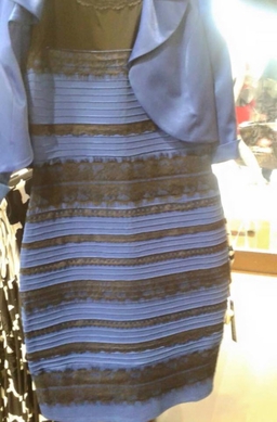 A blue and black dress that can be perceived as white and gold