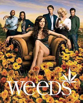 The cast of Weeds during Season 2, Left to Right: Romany Malco, Tonye Patano, Mary-Louise Parker, Kevin Nealon, Elizabeth Perkins, and Justin Kirk. This image was also used for the Season 2 DVD box set.