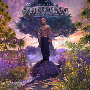 <i>Zulu Man with Some Power</i> 2020 studio album by Nasty C