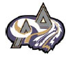 File:Adelaide Avalanche old team logo.jpg