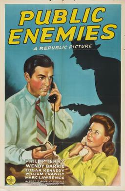 <i>Public Enemies</i> (1941 film) 1941 film by Albert S. Rogell