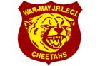 <span class="mw-page-title-main">Waratah Mayfield Cheetahs</span> Australian rugby league club, based in Newcastle, NSW