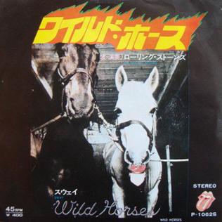 huevo Chorrito Teoría establecida Wild Horses (Rolling Stones song) - Wikipedia