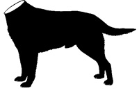 The Factotum logo, derived from the definition of 'factotum' as 'a dogsbody'. Factotum-logo.jpg